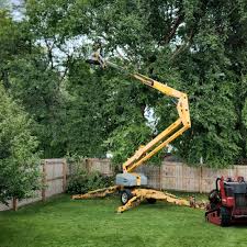 Lawn Grading and Leveling in Keystone Heights, FL